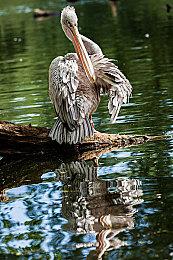 《小人物拯救世界》等五款游戏 将于1月上半月退出XGP